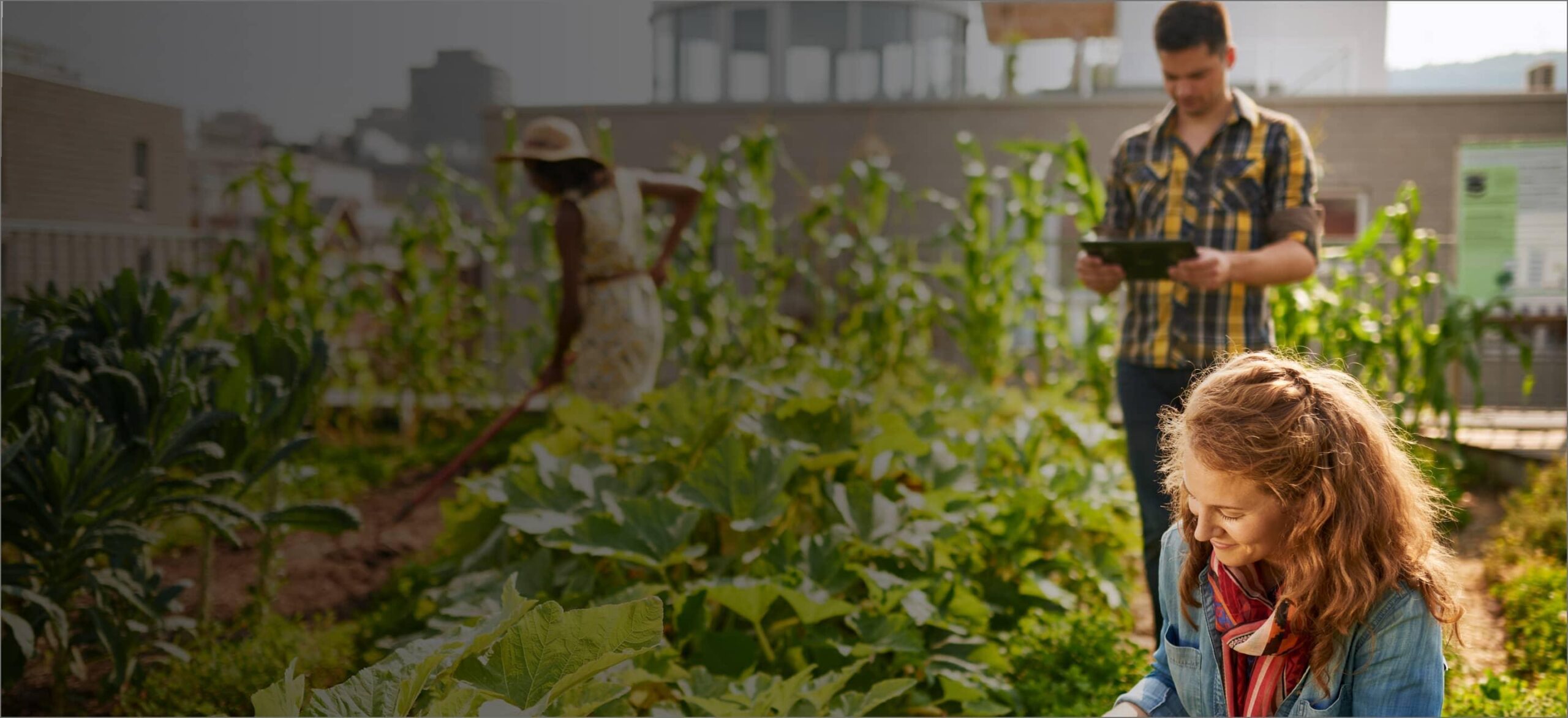 farming-couple-tablet